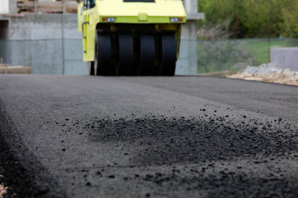 Best Driveway Paver Repair  in Munster, IN